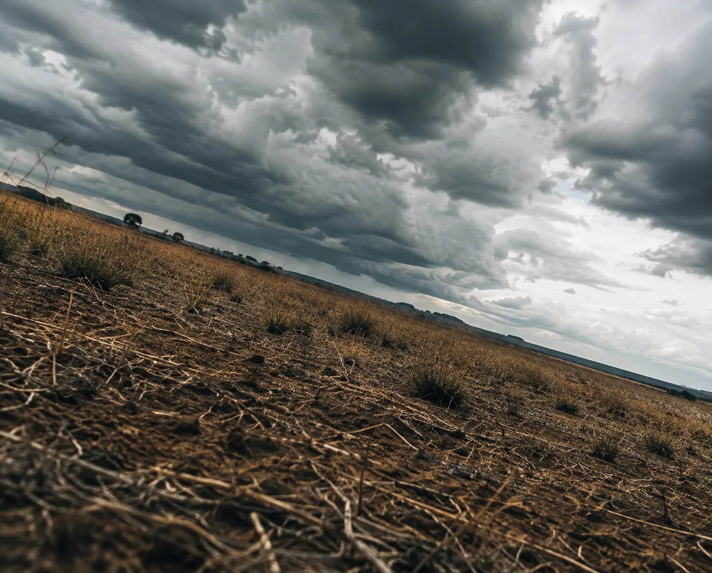 Brasil reduz cobertura nativa de 79% para 65% e aumenta a vulnerabilidade ao El Niño